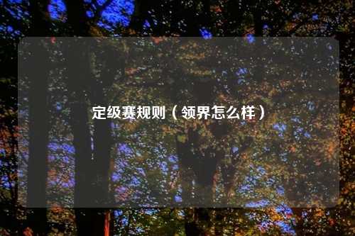 定级赛规则（领界怎么样）