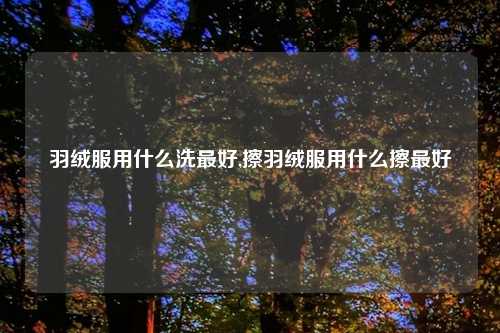 羽绒服用什么洗最好,擦羽绒服用什么擦最好