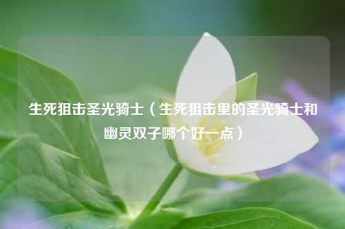 生死狙击圣光骑士（生死狙击里的圣光骑士和幽灵双子哪个好一点）