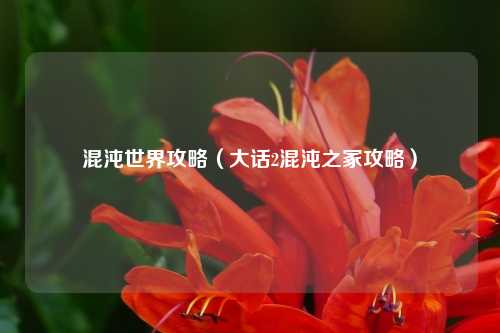 混沌世界攻略（大话2混沌之冢攻略）