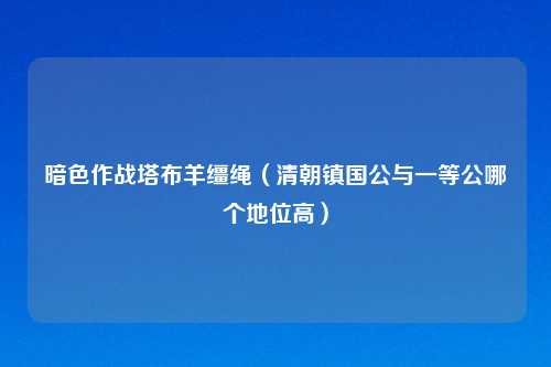 暗色作战塔布羊缰绳（清朝镇国公与一等公哪个地位高）