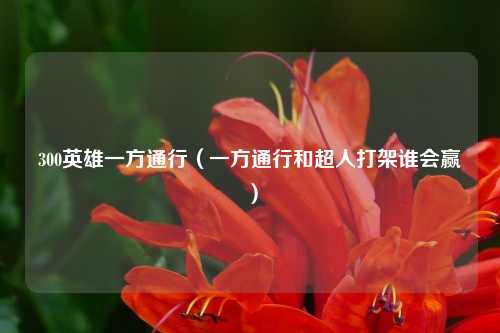 300英雄一方通行（一方通行和超人打架谁会赢）