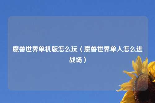 魔兽世界单机版怎么玩（魔兽世界单人怎么进战场）