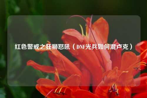 红色警戒之狂狮怒吼（DNF光兵如何混卢克）