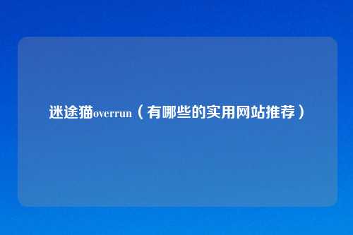 迷途猫overrun（有哪些的实用网站推荐）