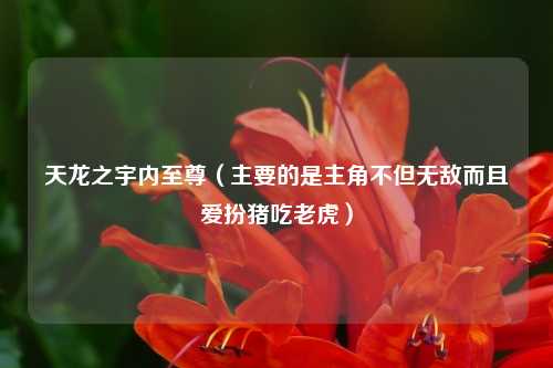 天龙之宇内至尊（主要的是主角不但无敌而且爱扮猪吃老虎）