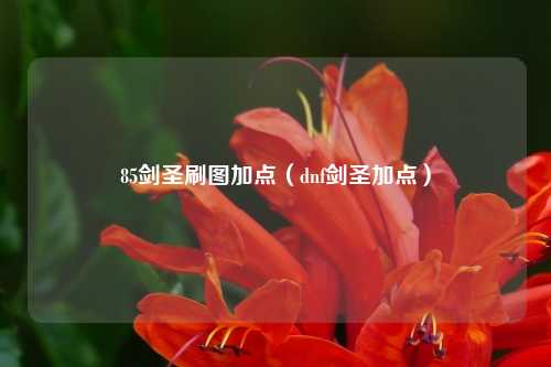 85剑圣刷图加点（dnf剑圣加点）