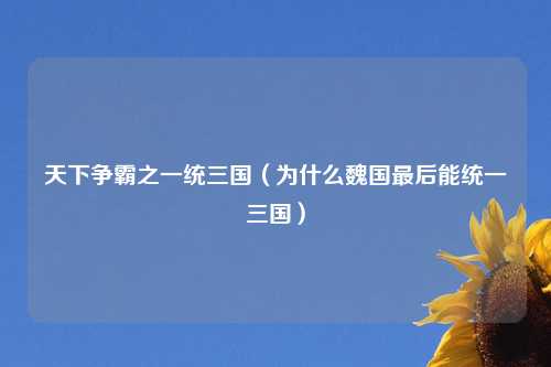 天下争霸之一统三国（为什么魏国最后能统一三国）