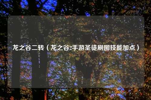 龙之谷二转（龙之谷2手游圣徒刷图技能加点）