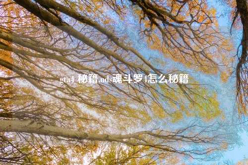 gta4 秘籍,nds魂斗罗4怎么秘籍