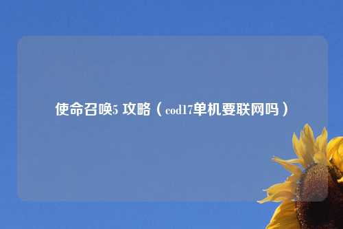 使命召唤5 攻略（cod17单机要联网吗）