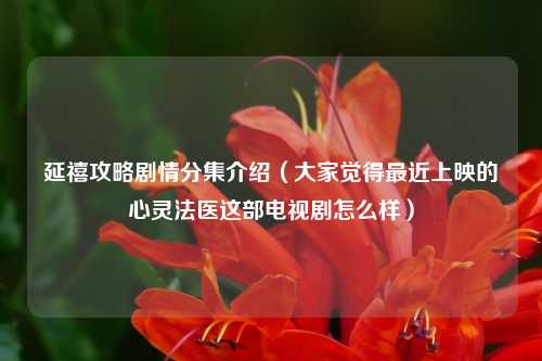 延禧攻略剧情分集介绍（大家觉得最近上映的心灵法医这部电视剧怎么样）