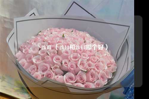 2k13 （2k13和2k14哪个好）