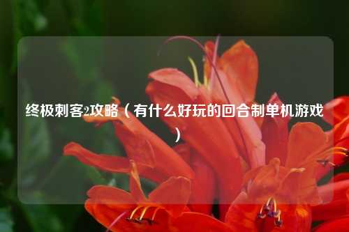 终极刺客2攻略（有什么好玩的回合制单机游戏）
