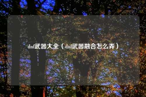 dnf武器大全（dnf武器融合怎么弄）