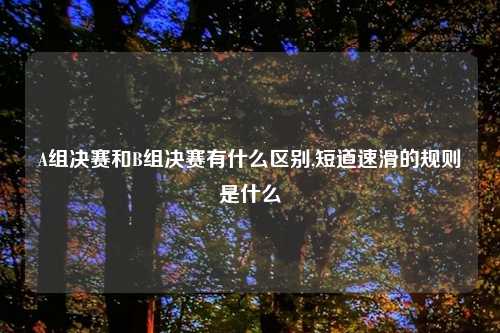 A组决赛和B组决赛有什么区别,短道速滑的规则是什么