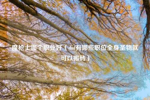 魔枪士哪个职业好（dnf有哪些职位全身圣物就可以搬砖）