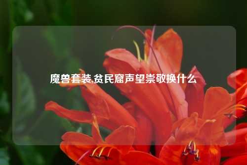 魔兽套装,贫民窟声望崇敬换什么