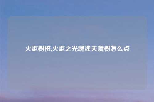 火炬树桩,火炬之光魂烛天赋树怎么点