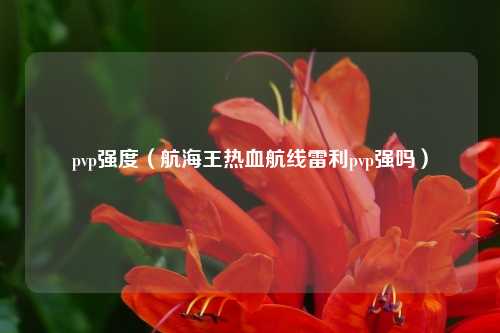 pvp强度（航海王热血航线雷利pvp强吗）