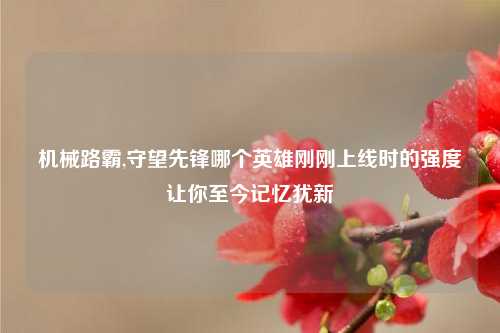 机械路霸,守望先锋哪个英雄刚刚上线时的强度让你至今记忆犹新