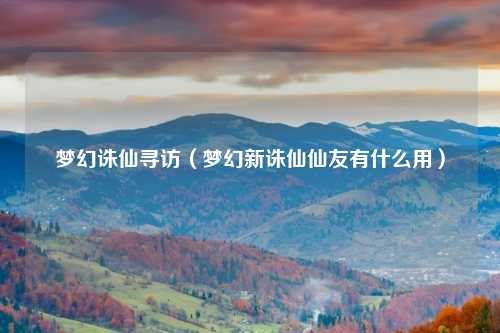 梦幻诛仙寻访（梦幻新诛仙仙友有什么用）