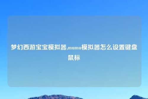 梦幻西游宝宝模拟器,mumu模拟器怎么设置键盘鼠标