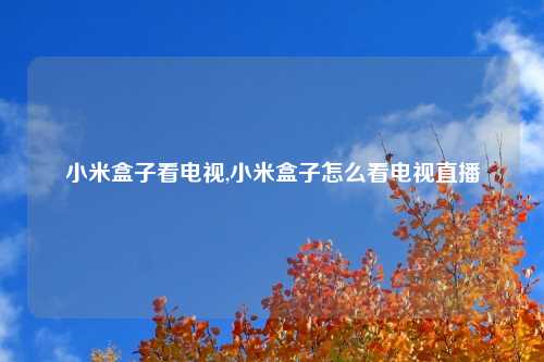 小米盒子看电视,小米盒子怎么看电视直播