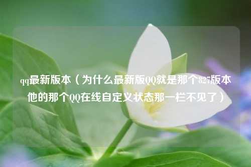 qq最新版本（为什么最新版QQ就是那个827版本他的那个QQ在线自定义状态那一栏不见了）