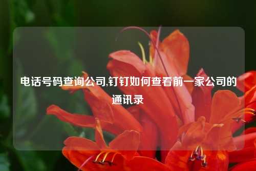 电话号码查询公司,钉钉如何查看前一家公司的通讯录