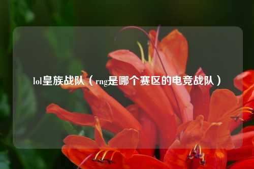 lol皇族战队（rng是哪个赛区的电竞战队）