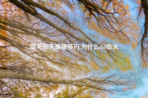 御龙在天偷猪技巧,为什么dnf会火