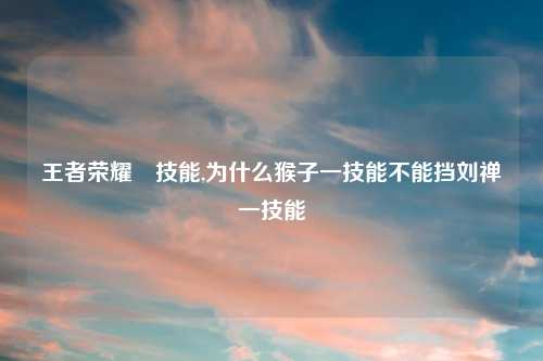王者荣耀暃技能,为什么猴子一技能不能挡刘禅一技能