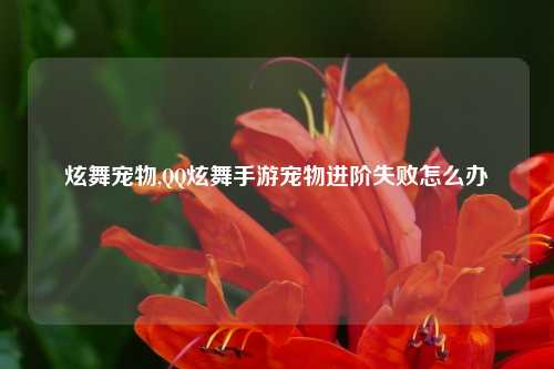 炫舞宠物,QQ炫舞手游宠物进阶失败怎么办