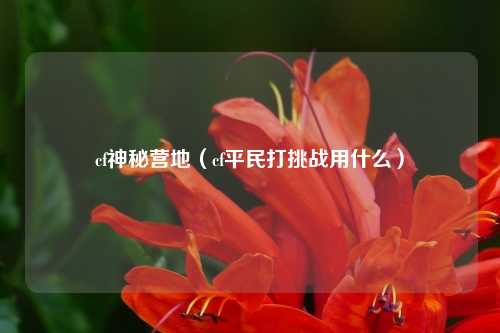 cf神秘营地（cf平民打挑战用什么）