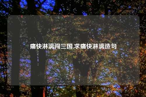 痛快淋漓闯三国,求痛快淋漓造句