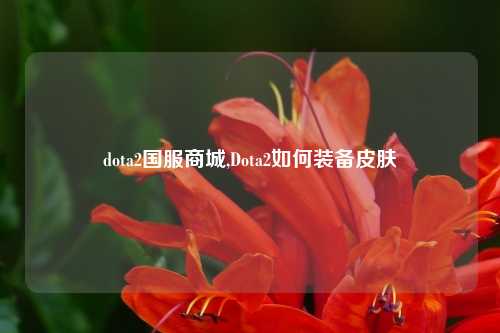 dota2国服商城,Dota2如何装备皮肤