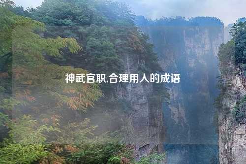 神武官职,合理用人的成语