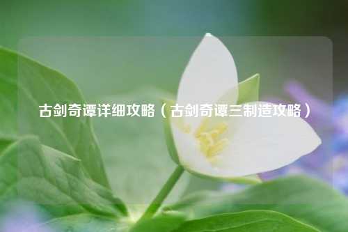 古剑奇谭详细攻略（古剑奇谭三制造攻略）