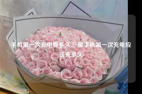 手机第一次充电要多久,三星手机第一次充电应该充多久