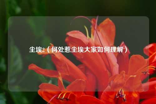尘埃2（何处惹尘埃大家如何理解）