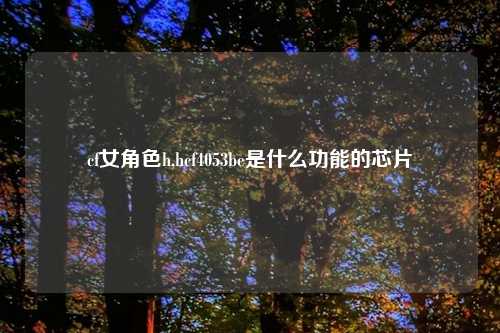 cf女角色h,hcf4053be是什么功能的芯片