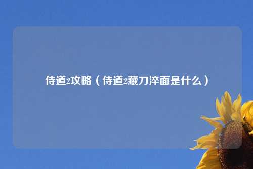 侍道2攻略（侍道2藏刀淬面是什么）
