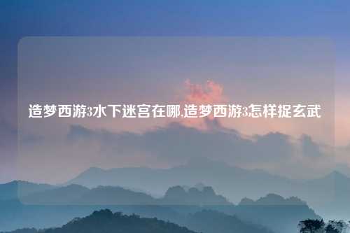 造梦西游3水下迷宫在哪,造梦西游3怎样捉玄武
