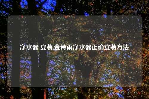 净水器 安装,金诗雨净水器正确安装方法