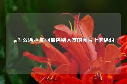 qq怎么涂鸦,如何清除别人发的图片上的涂鸦