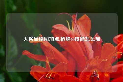 大将军刷图加点,枪炮60技能怎么加