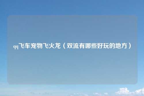 qq飞车宠物飞火龙（双流有哪些好玩的地方）