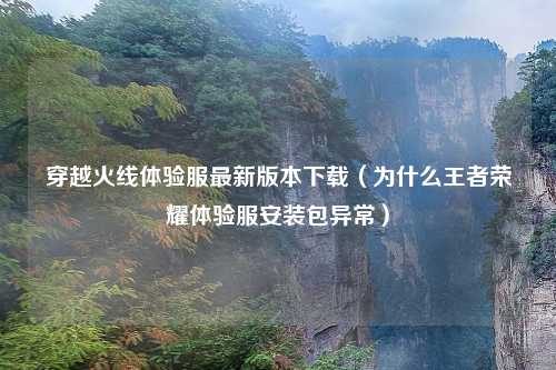 穿越火线体验服最新版本下载（为什么王者荣耀体验服安装包异常）