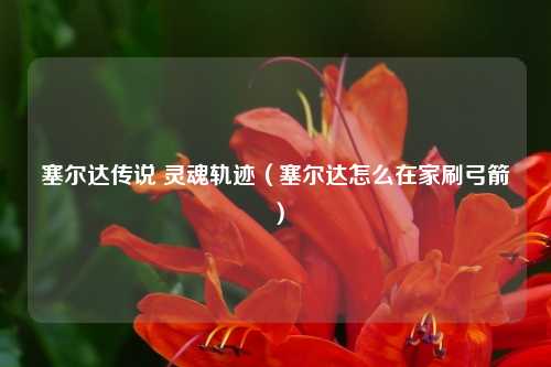 塞尔达传说 灵魂轨迹（塞尔达怎么在家刷弓箭）